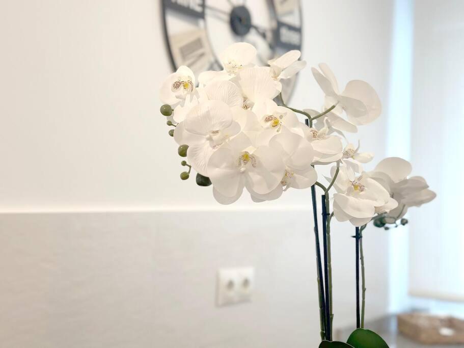 Apartamento Reformado En Santoña Zewnętrze zdjęcie